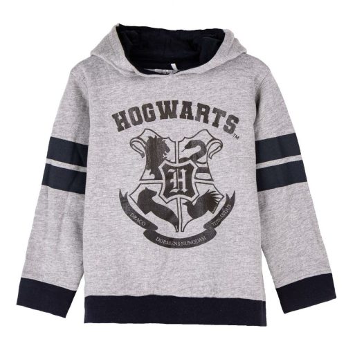 Felpa Con Cappuccio Bambino Harry Potter Grigio Taglia:8 Anni